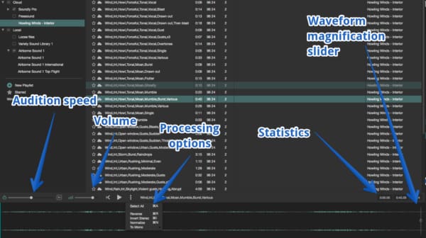 Audition speed, volume, processing options, statistics, waveform magnification slider.