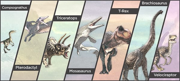 Animals Snapshot