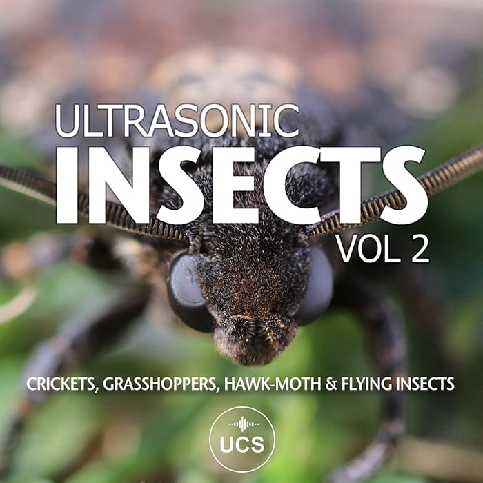 Ultrasonic Insects Vol 2