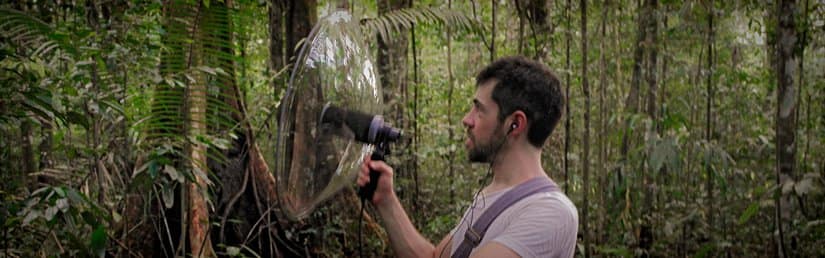 Stephane Dufour records the jungle ambience.