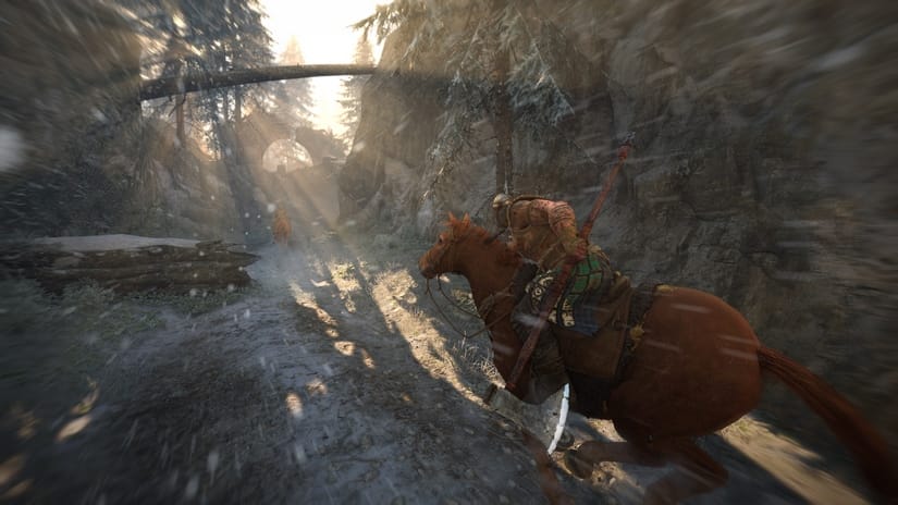 For Honor viking