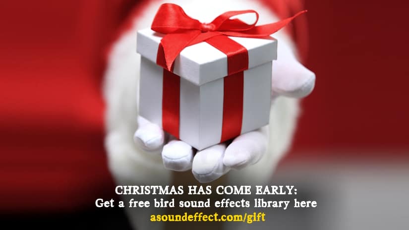 Early Christmas Sound Effects Gift 2024