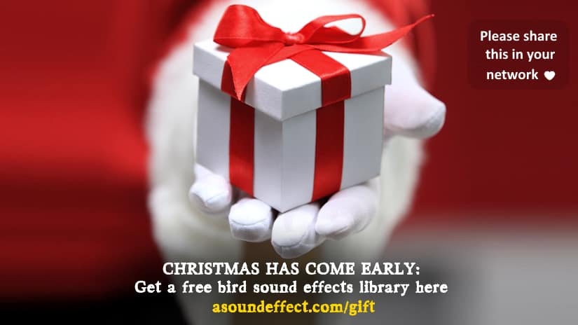 Early Christmas Sound Effects Gift 2024