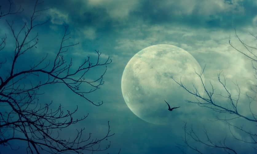 Scary Stories to Tell in the Dark Sound