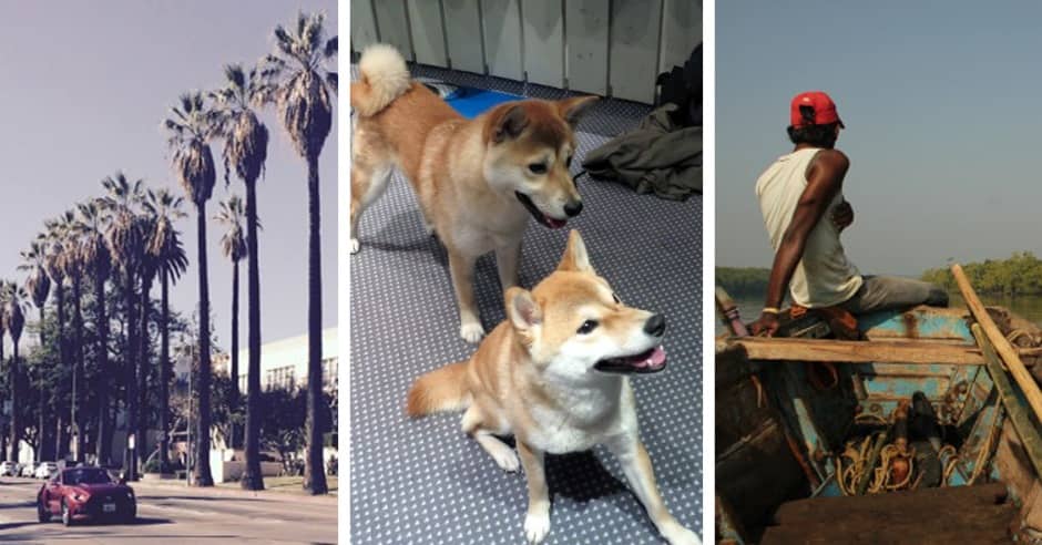 New sound effects from India, Los Angeles and Dogs