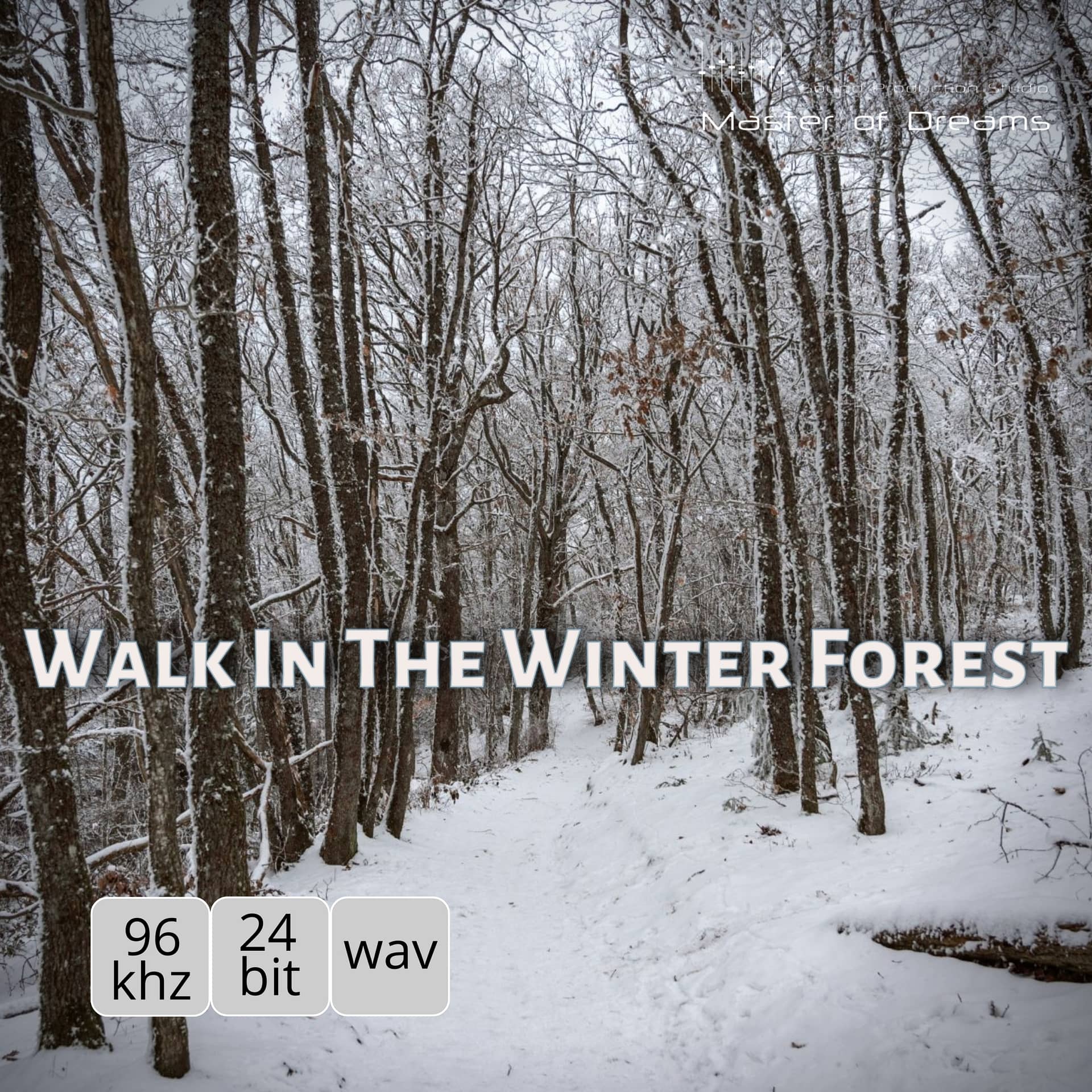 Walk In The Winter Forest | Sound Effects Library | Asoundeffect.com