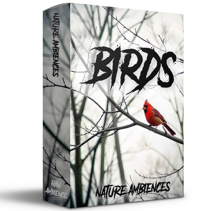 Birds – Nature Ambiences Edition