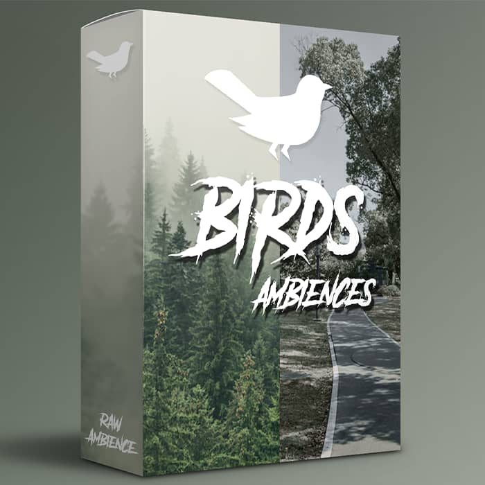 Birds Ambiences