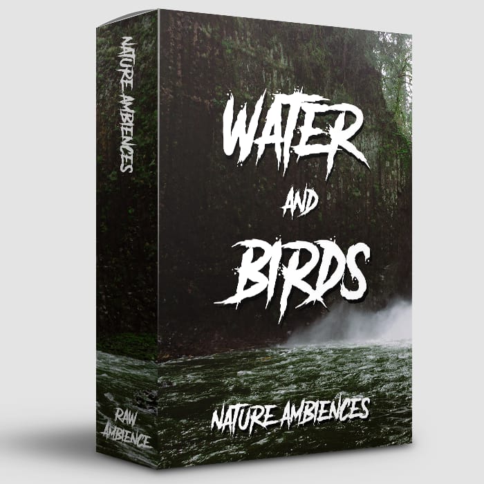 Water and Birds – Nature Ambiences Edition