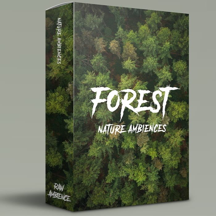 Forest – Nature Ambiences