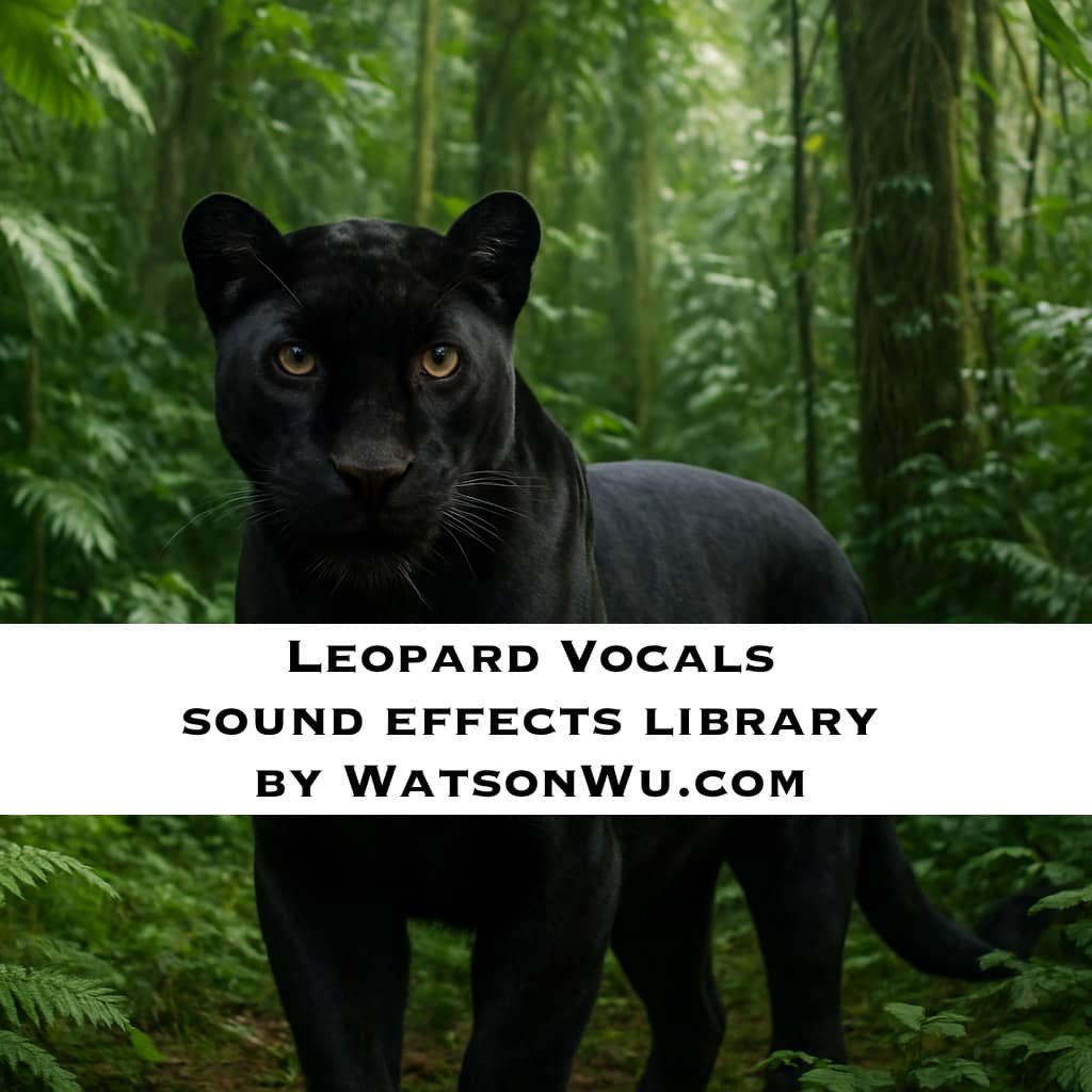 Leopard Vocals