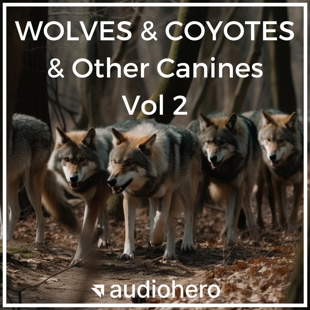 Wolves and Coyotes and Other Canines Vol 2