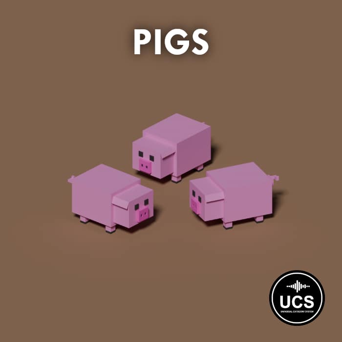 Pigs